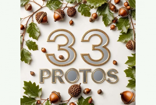 Нам 33!
